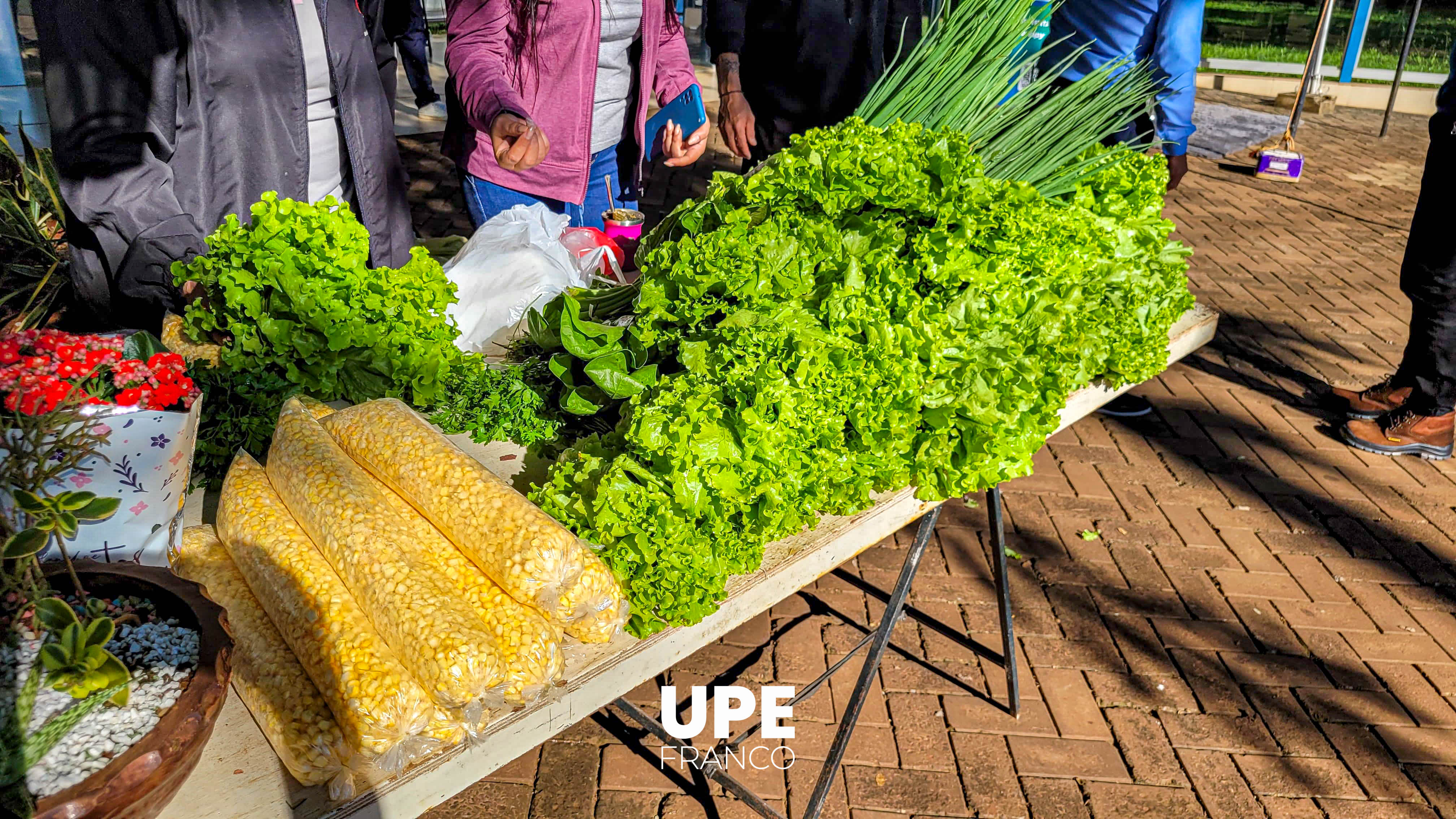 Feria Hortigranjera: Ingeniería Agronómica impulsa la producción estudiantil
