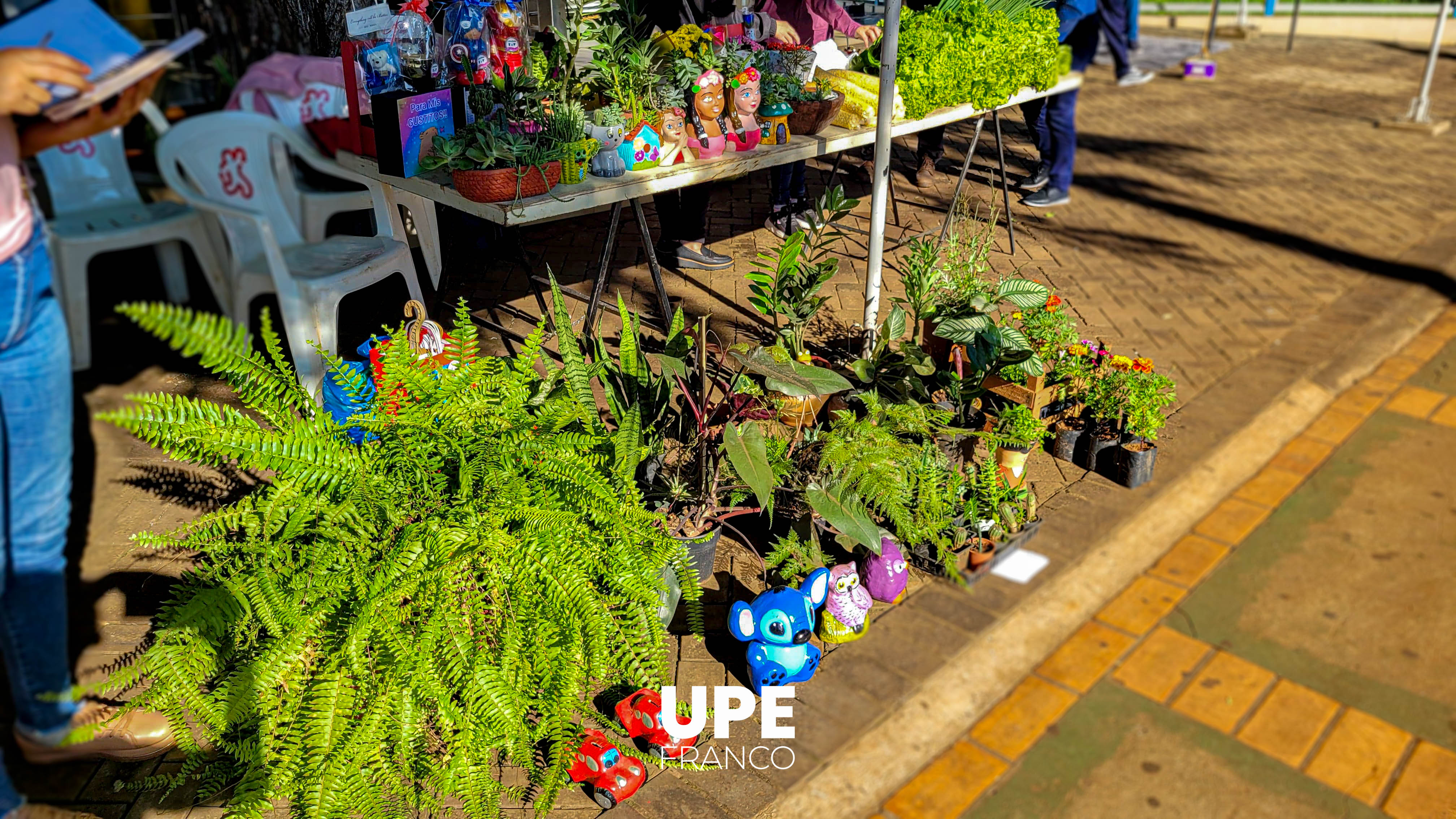 Feria Hortigranjera: Ingeniería Agronómica impulsa la producción estudiantil