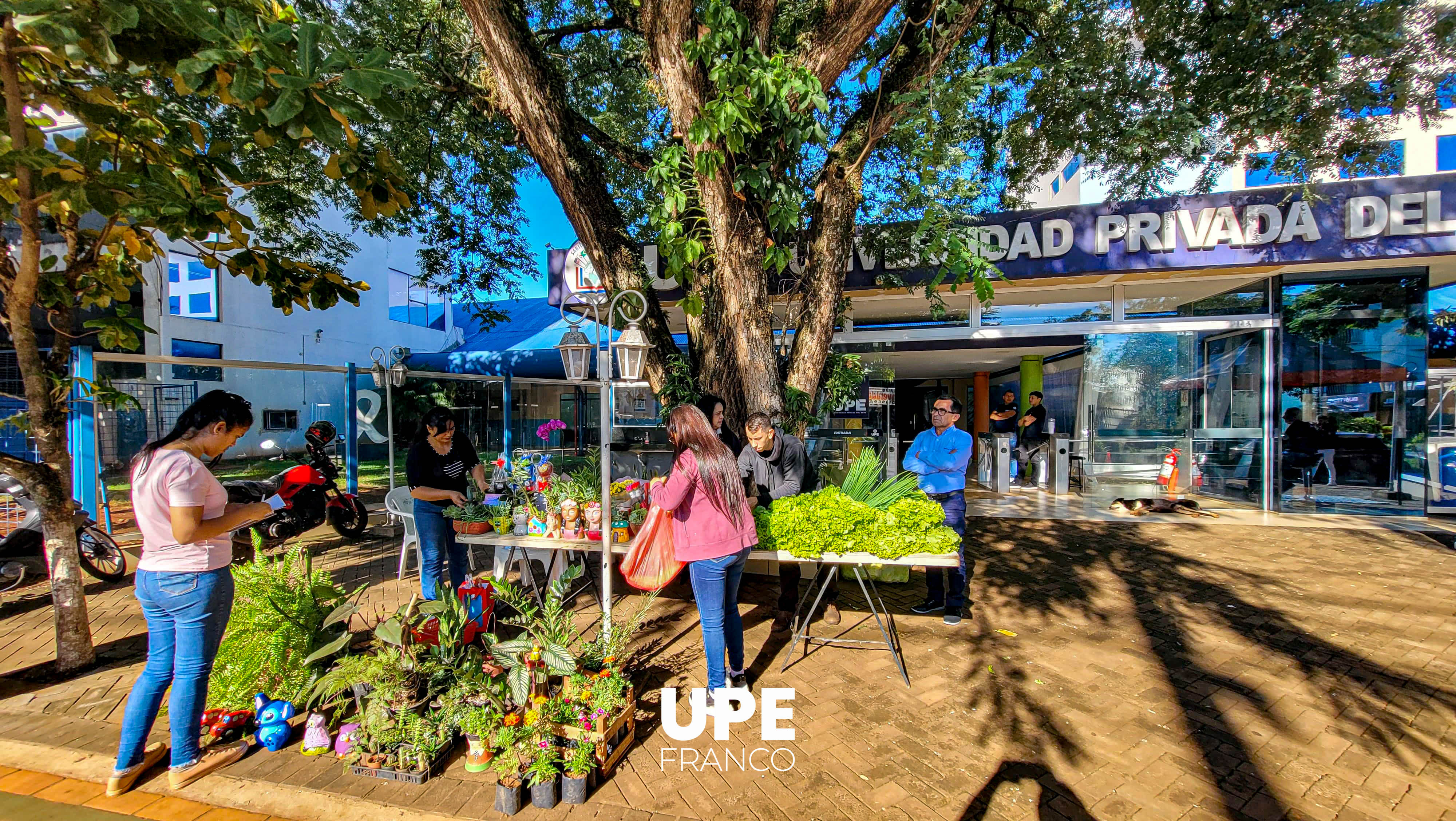 Feria Hortigranjera: Ingeniería Agronómica impulsa la producción estudiantil