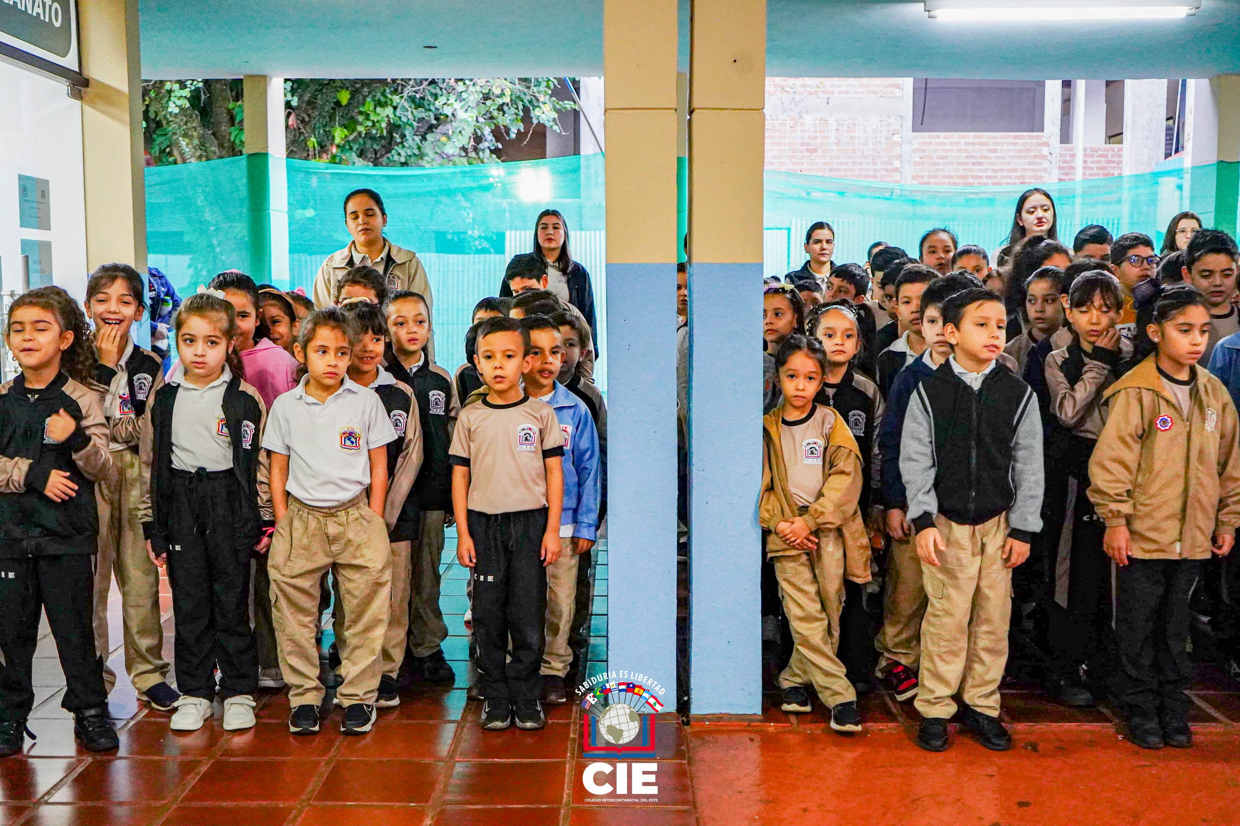 Proyecto 