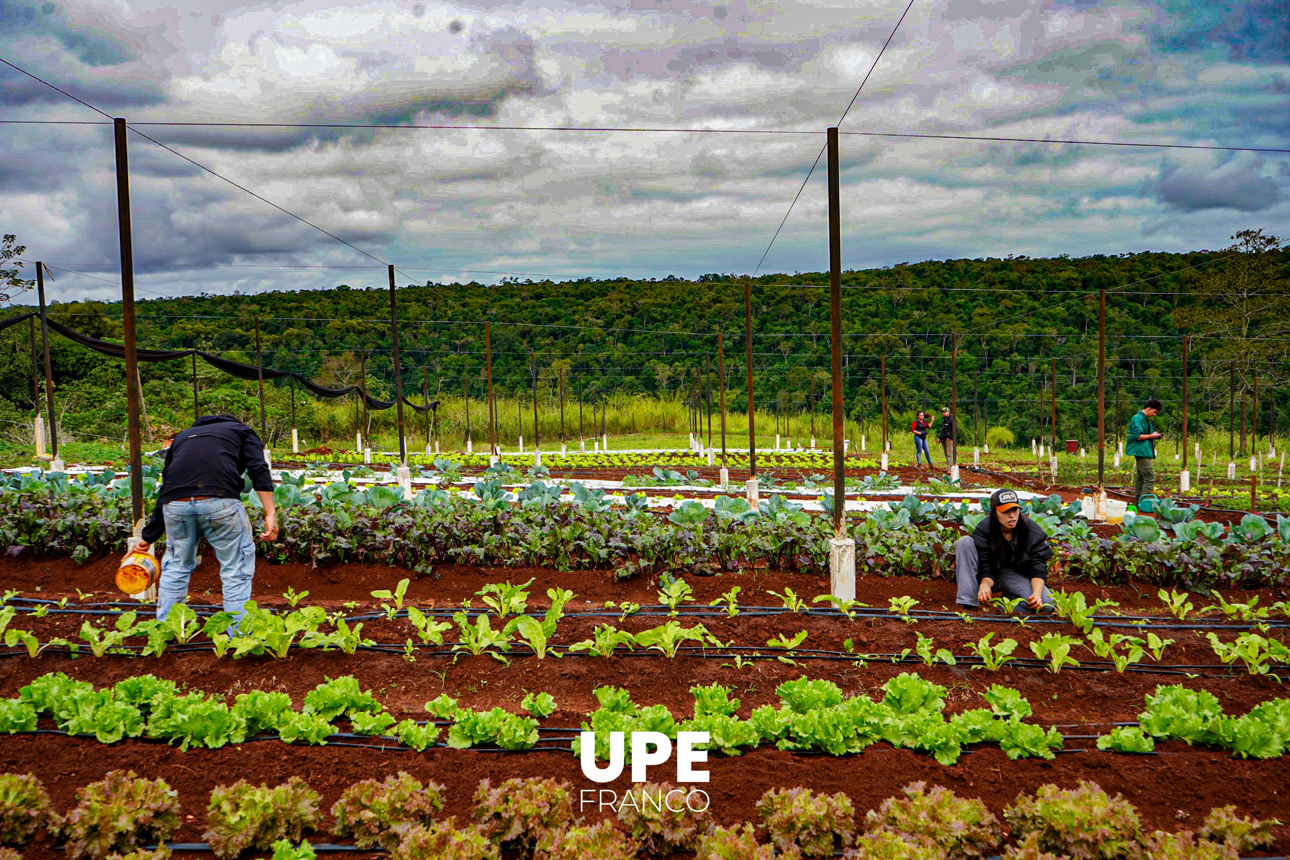 Centro Experimental e Investigaciones: Estudiantes de Agronomía se preparan para la Presentación Semestral
