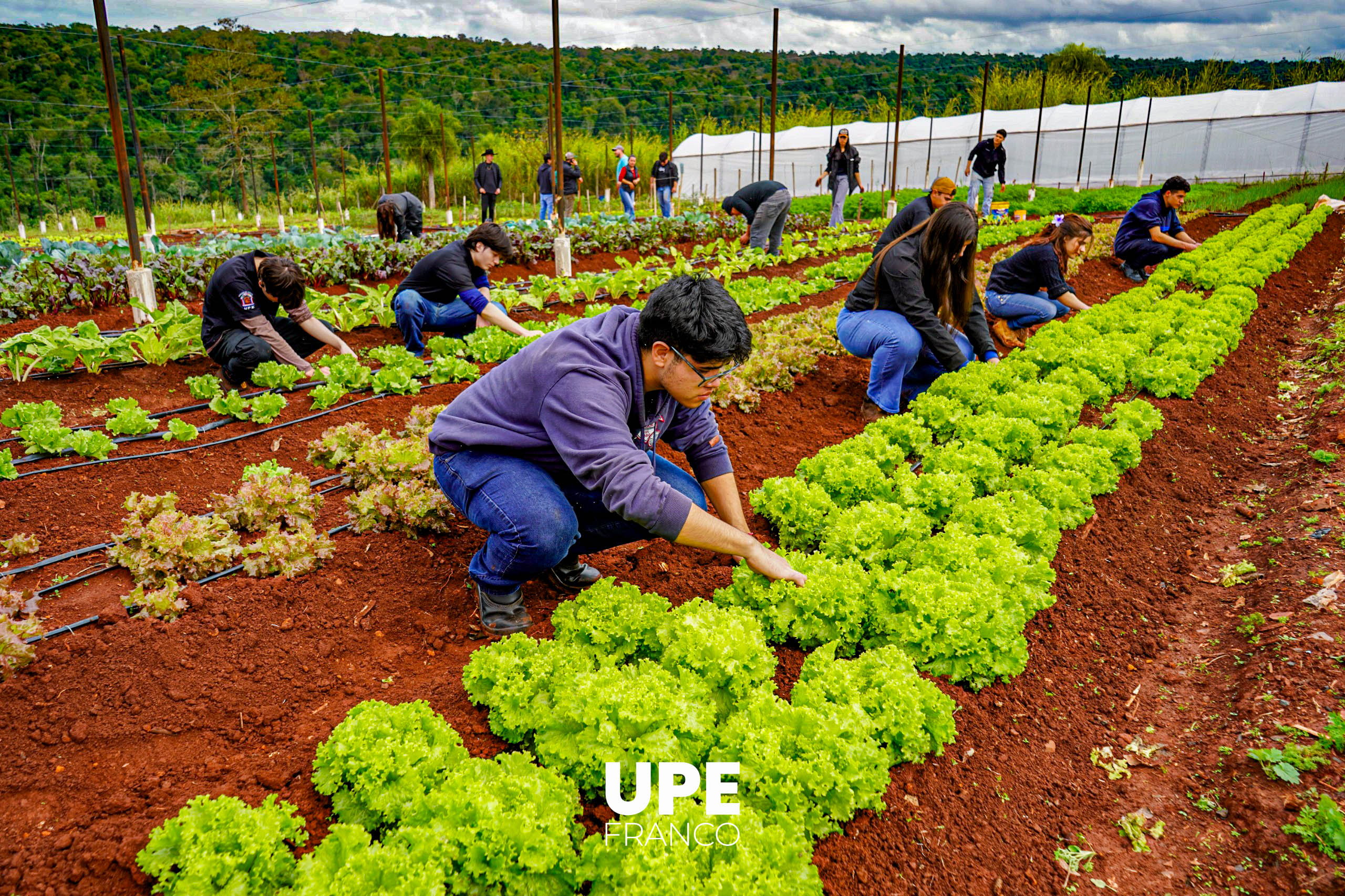 Centro Experimental e Investigaciones: Estudiantes de Agronomía se preparan para la Presentación Semestral