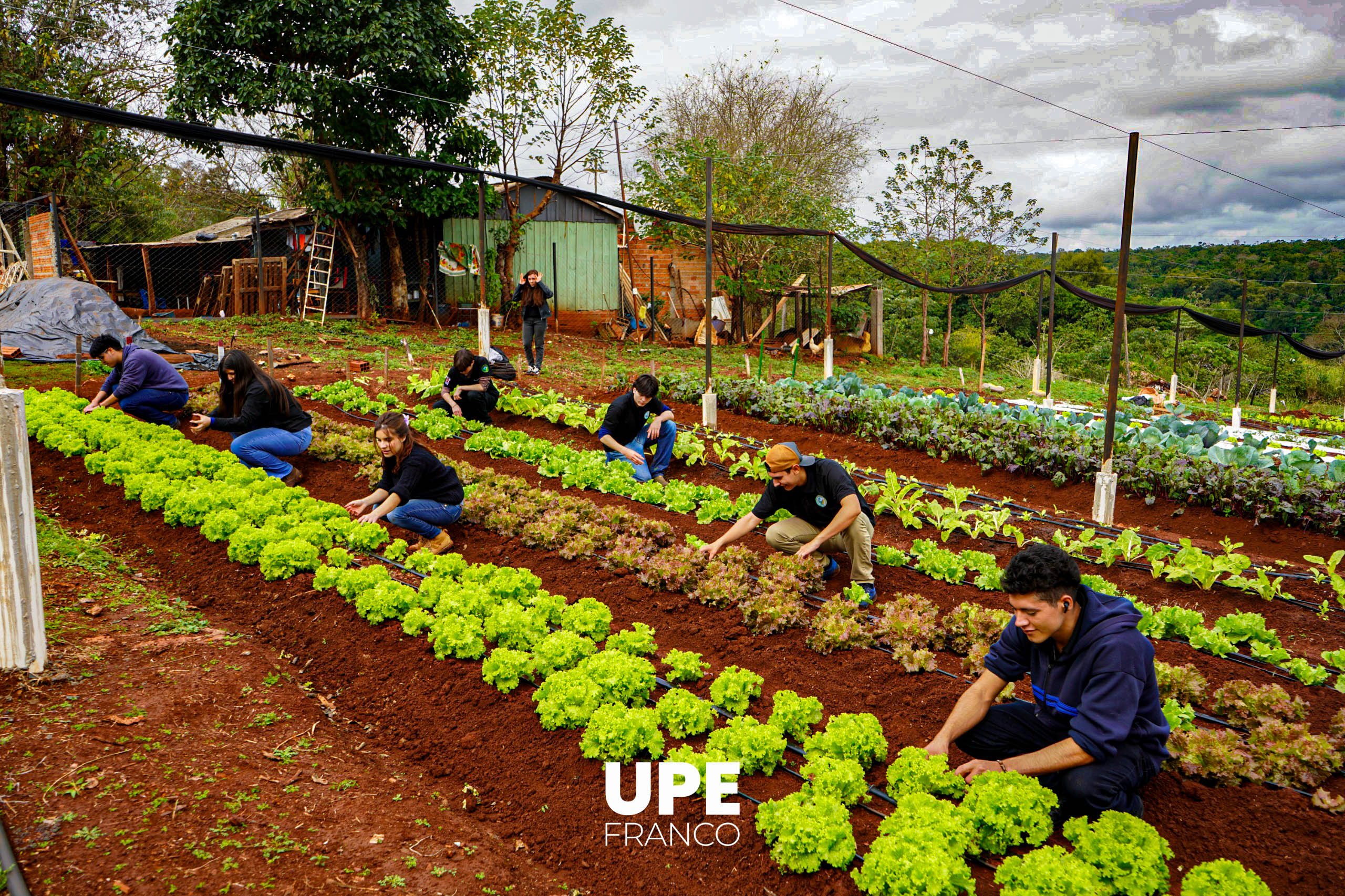 Centro Experimental e Investigaciones: Estudiantes de Agronomía se preparan para la Presentación Semestral
