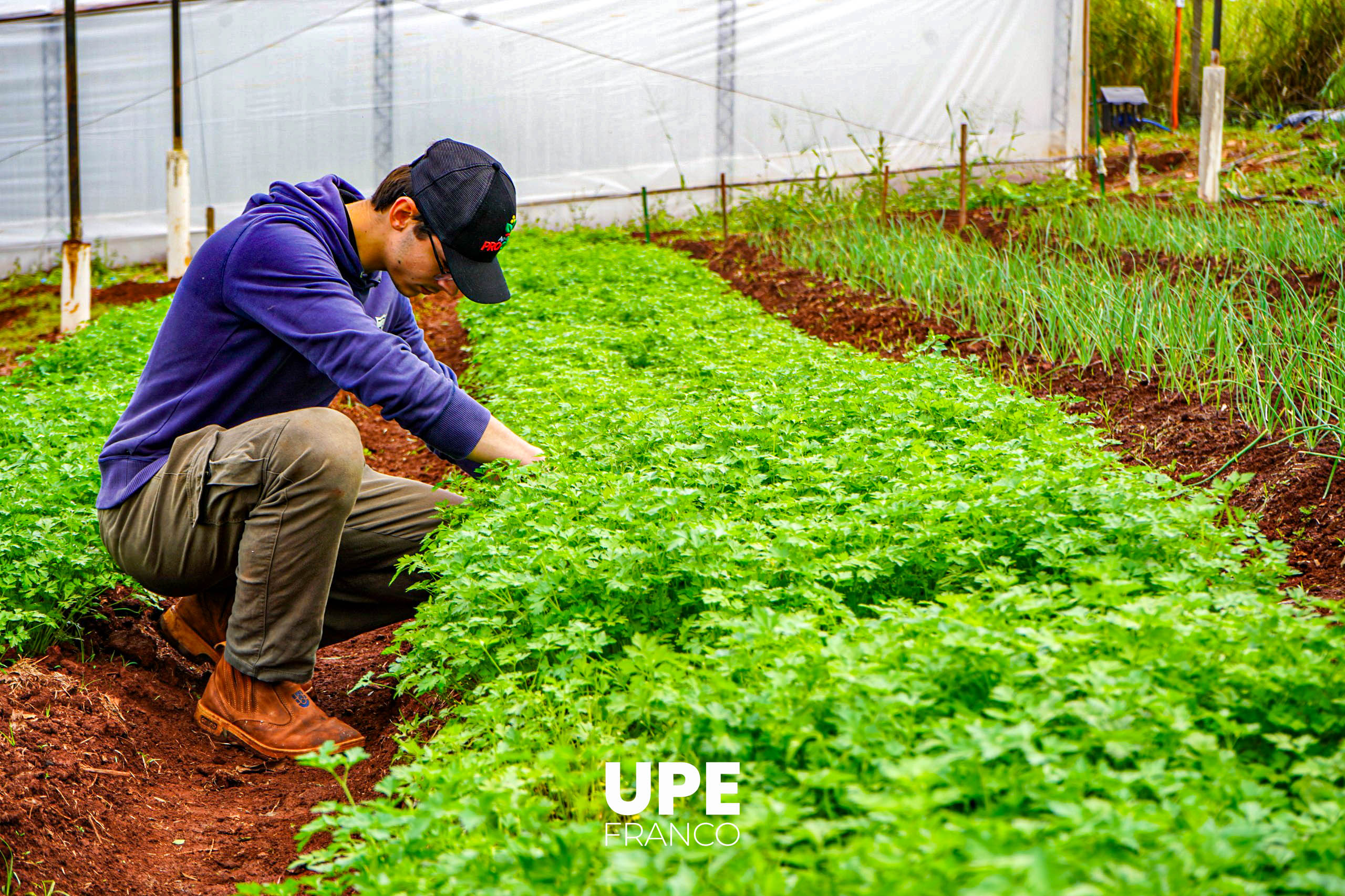 Centro Experimental e Investigaciones: Estudiantes de Agronomía se preparan para la Presentación Semestral