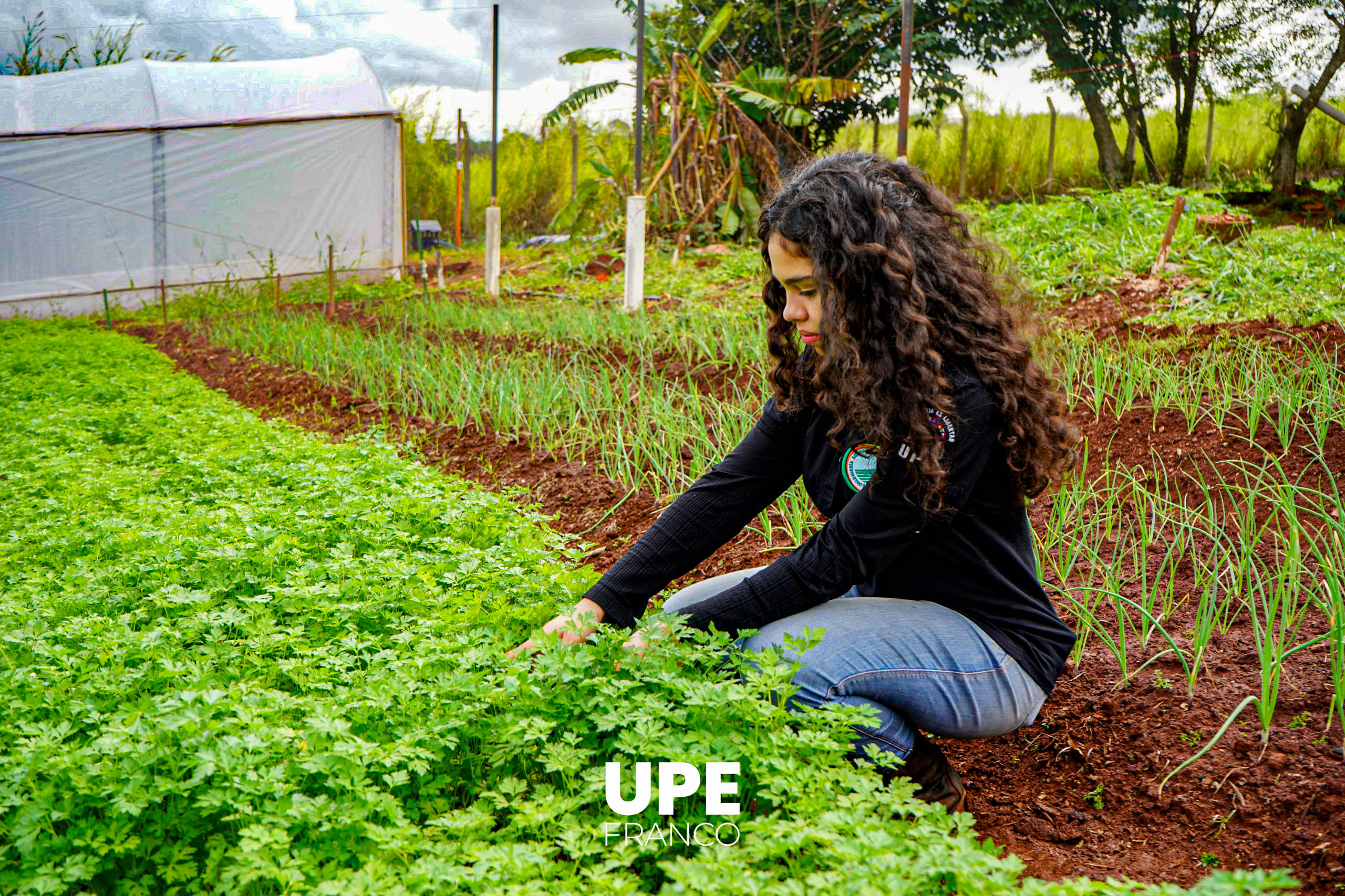 Centro Experimental e Investigaciones: Estudiantes de Agronomía se preparan para la Presentación Semestral