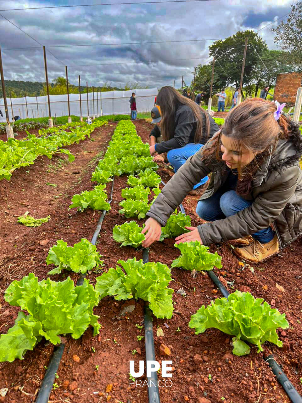 Centro Experimental e Investigaciones: Estudiantes de Agronomía se preparan para la Presentación Semestral