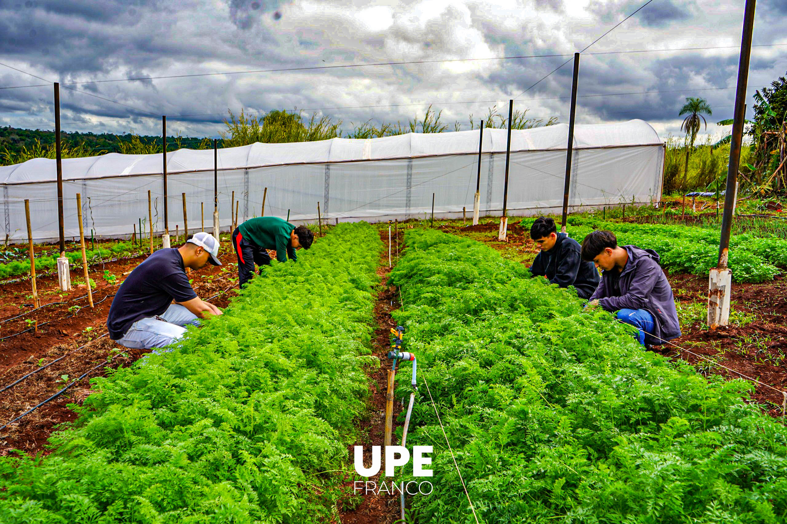 Centro Experimental e Investigaciones: Estudiantes de Agronomía se preparan para la Presentación Semestral