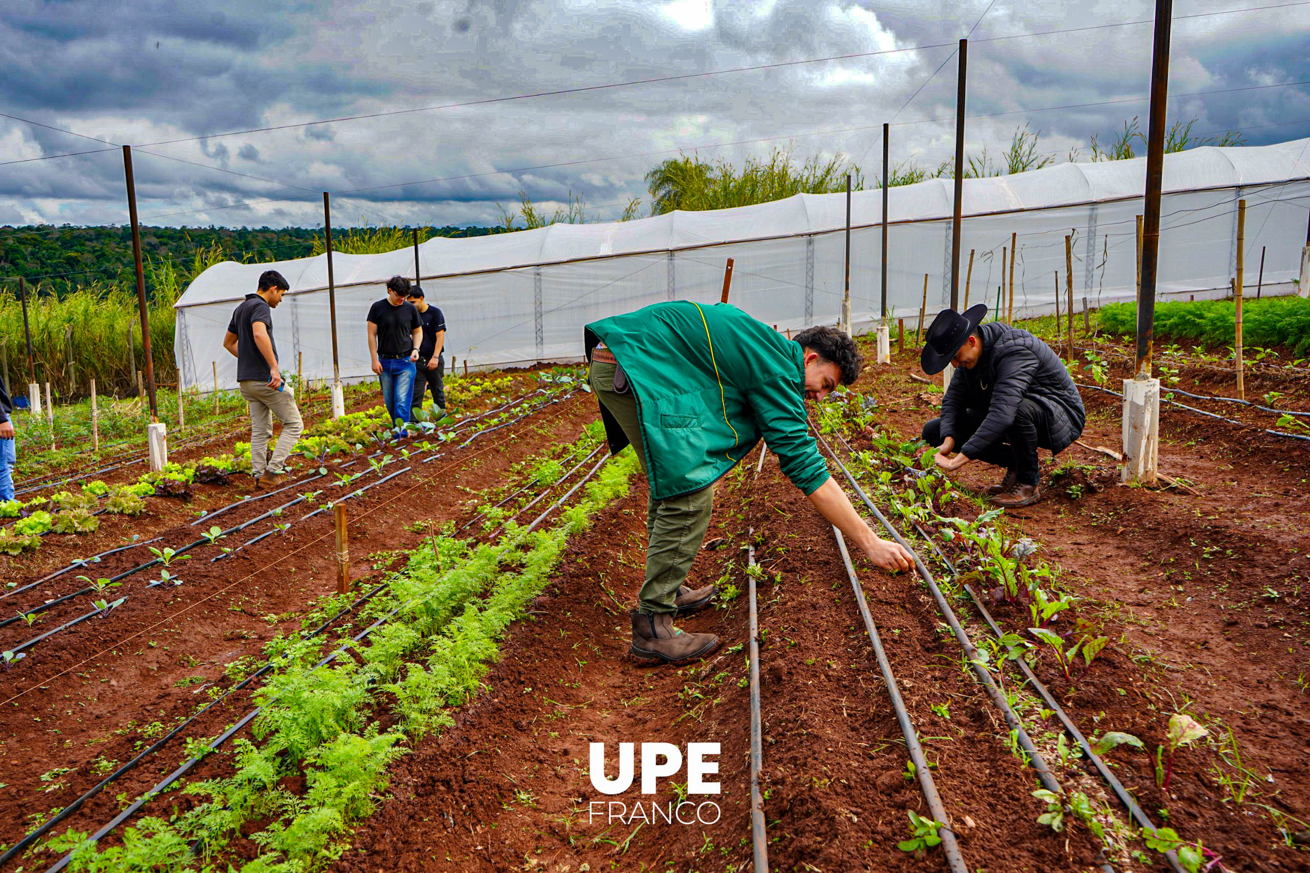 Centro Experimental e Investigaciones: Estudiantes de Agronomía se preparan para la Presentación Semestral