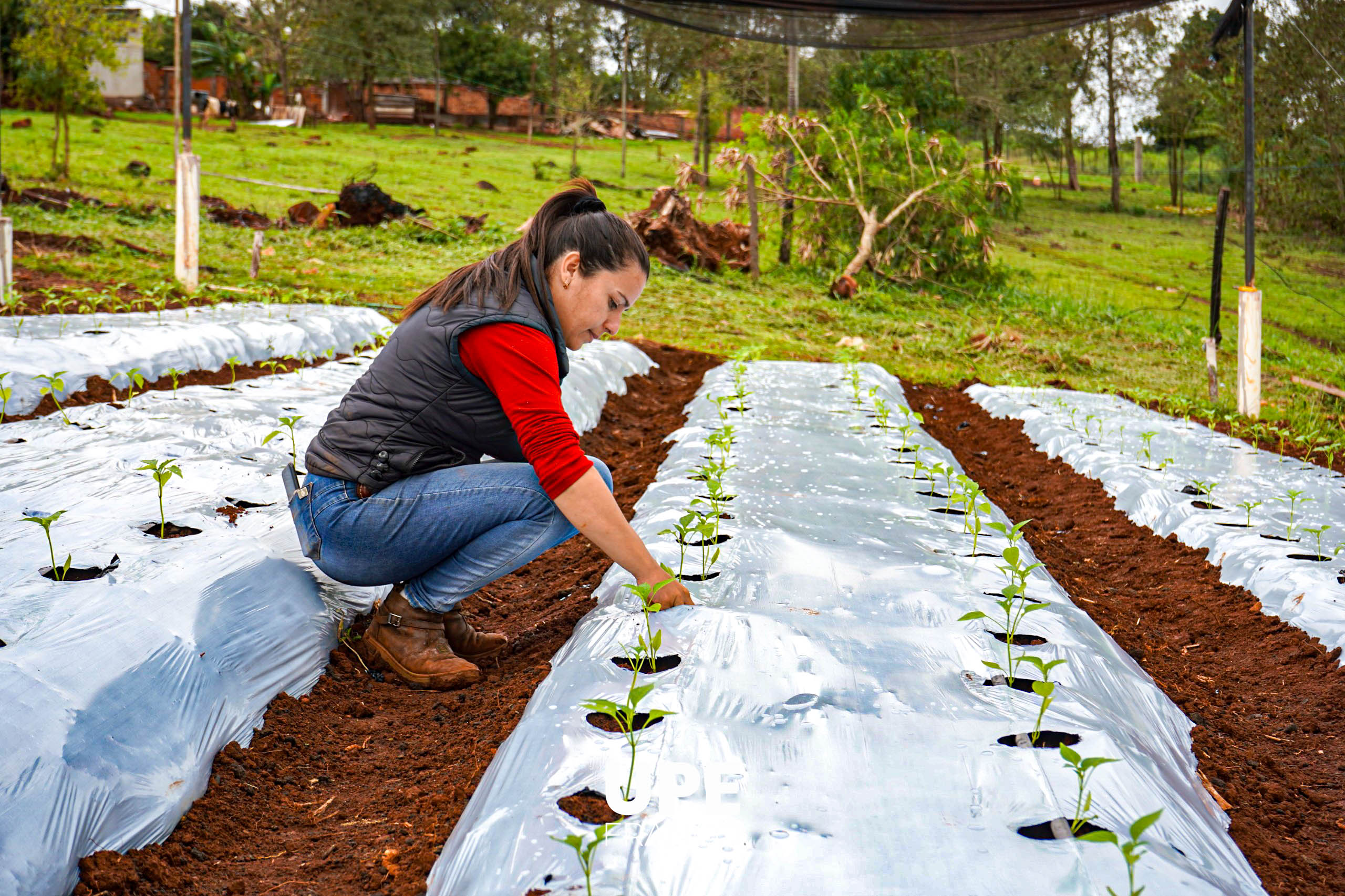 Centro Experimental e Investigaciones: Estudiantes de Agronomía se preparan para la Presentación Semestral