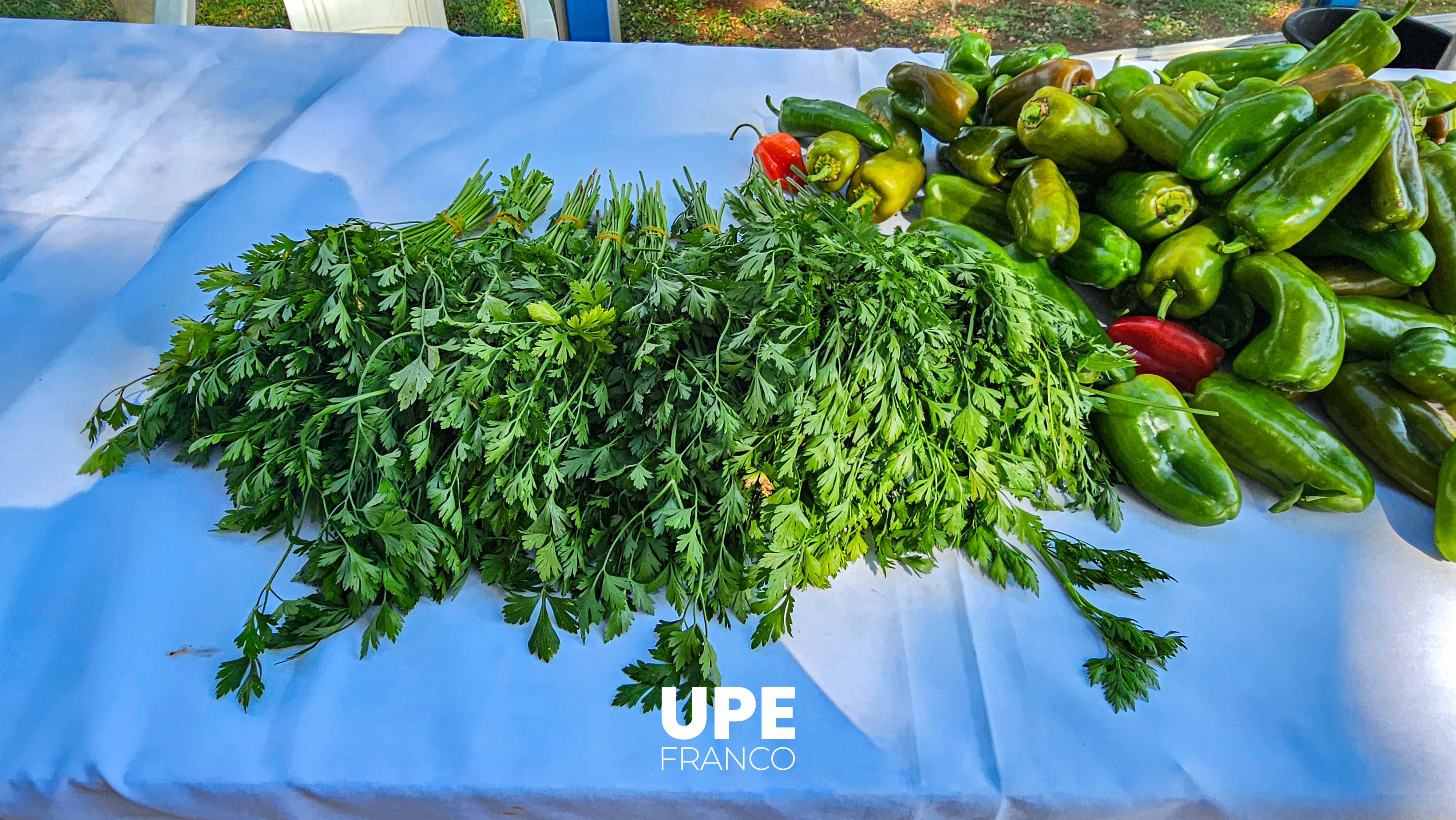 Feria de Productos Hortigranjeros en la UPE FRANCO - Facultad de Ciencias Agropecuarias