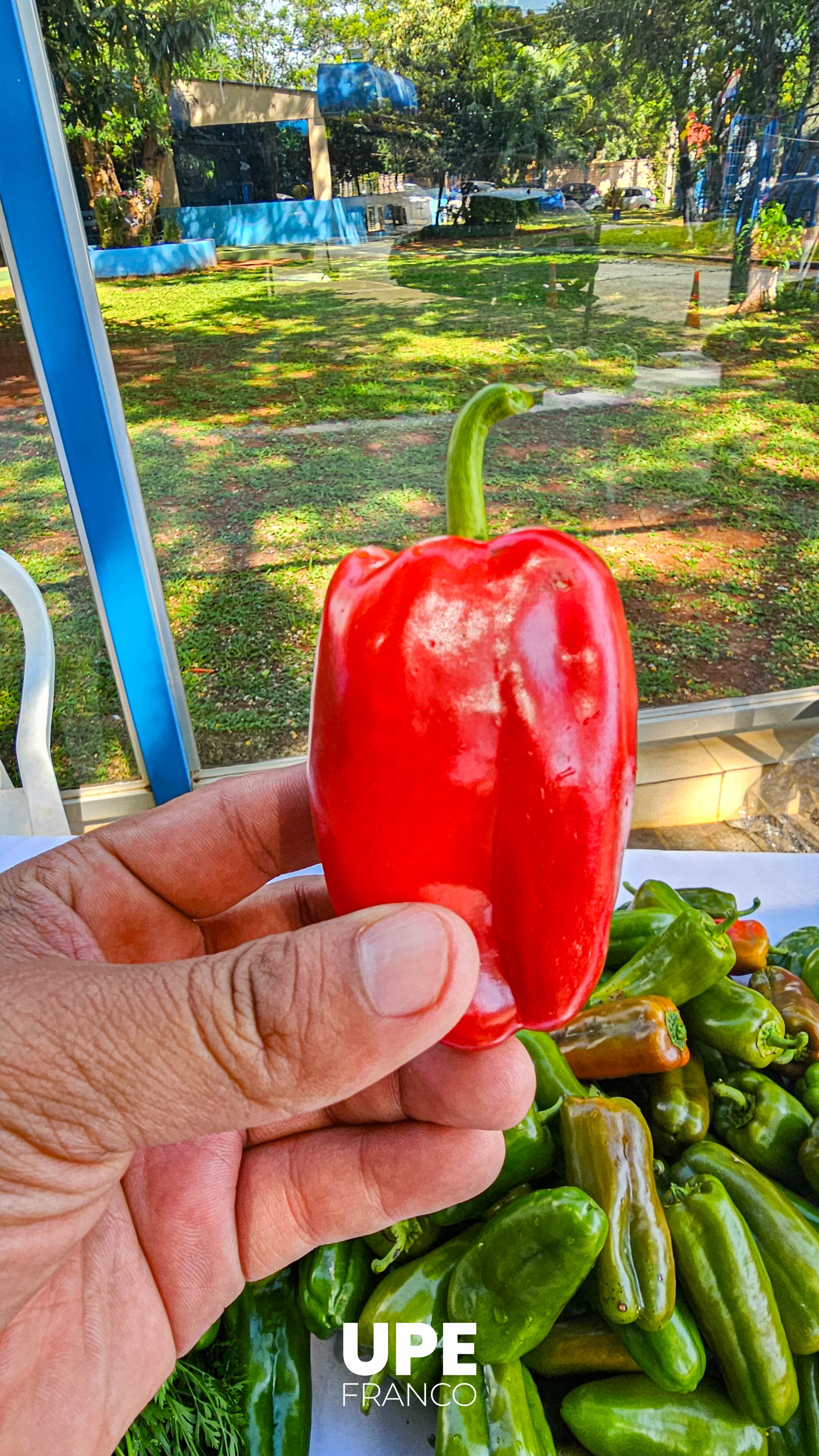 Feria de Productos Hortigranjeros en la UPE FRANCO - Facultad de Ciencias Agropecuarias