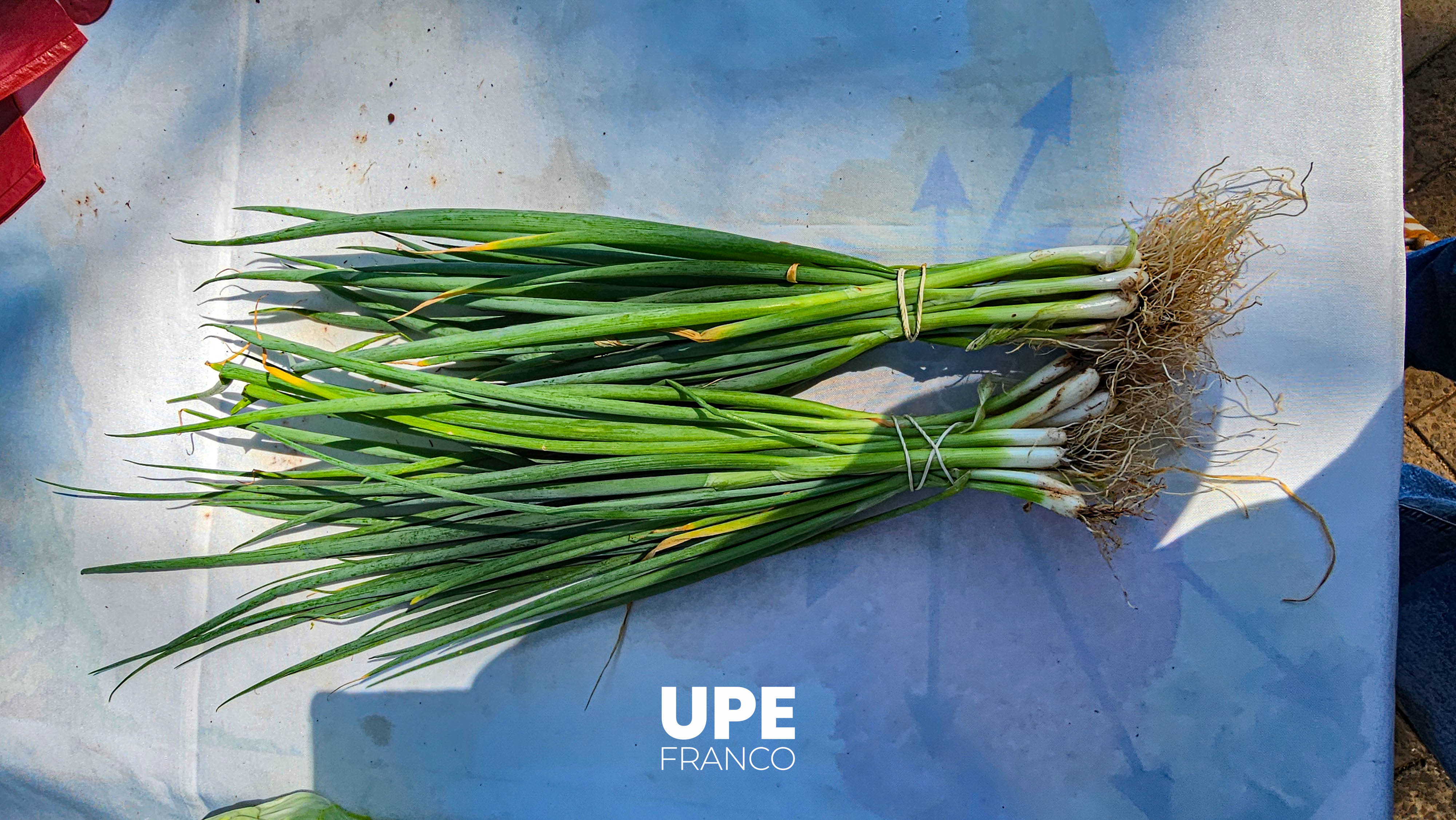 Feria de Productos Hortigranjeros en la UPE FRANCO - Facultad de Ciencias Agropecuarias