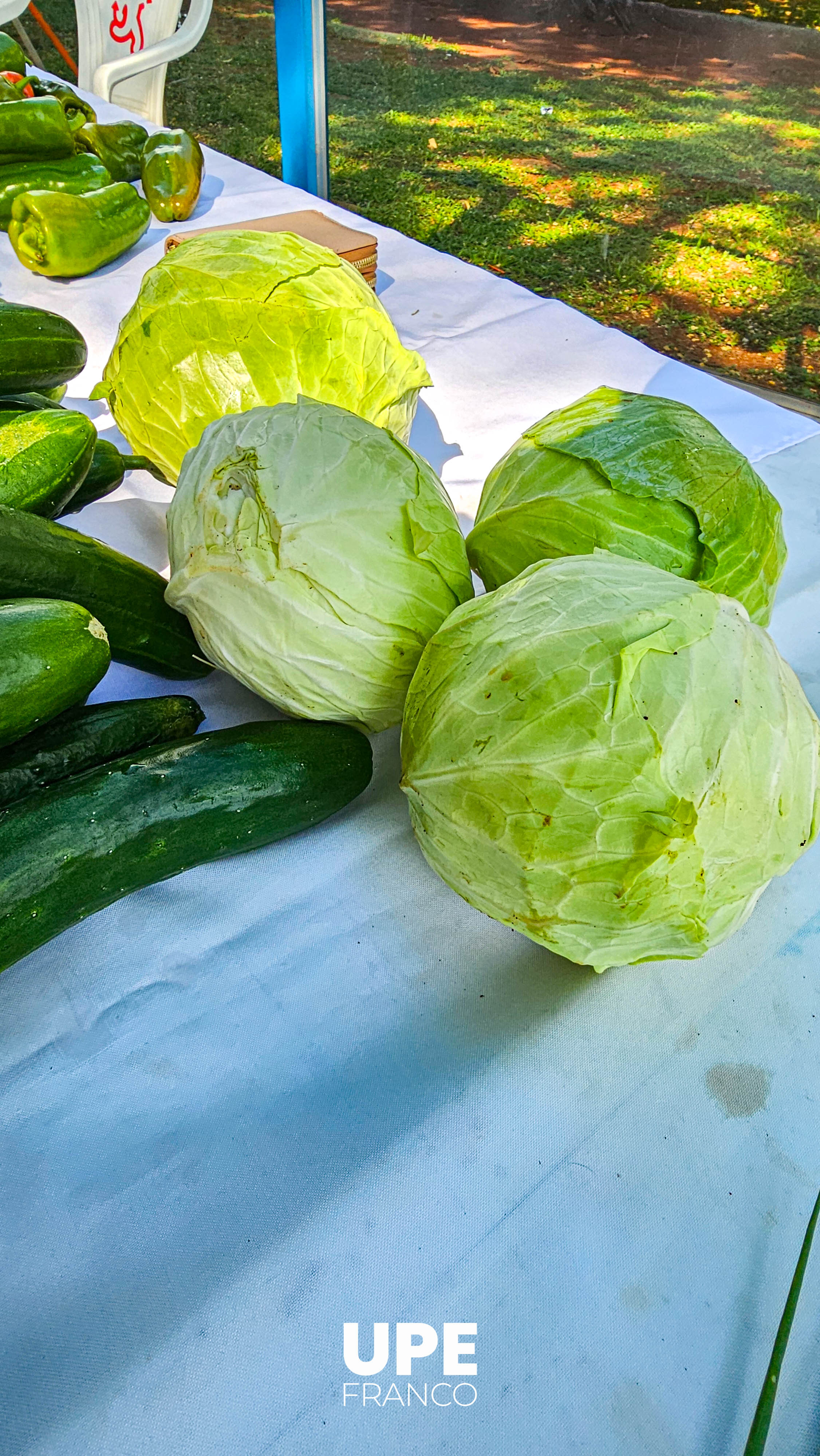 Feria de Productos Hortigranjeros en la UPE FRANCO - Facultad de Ciencias Agropecuarias