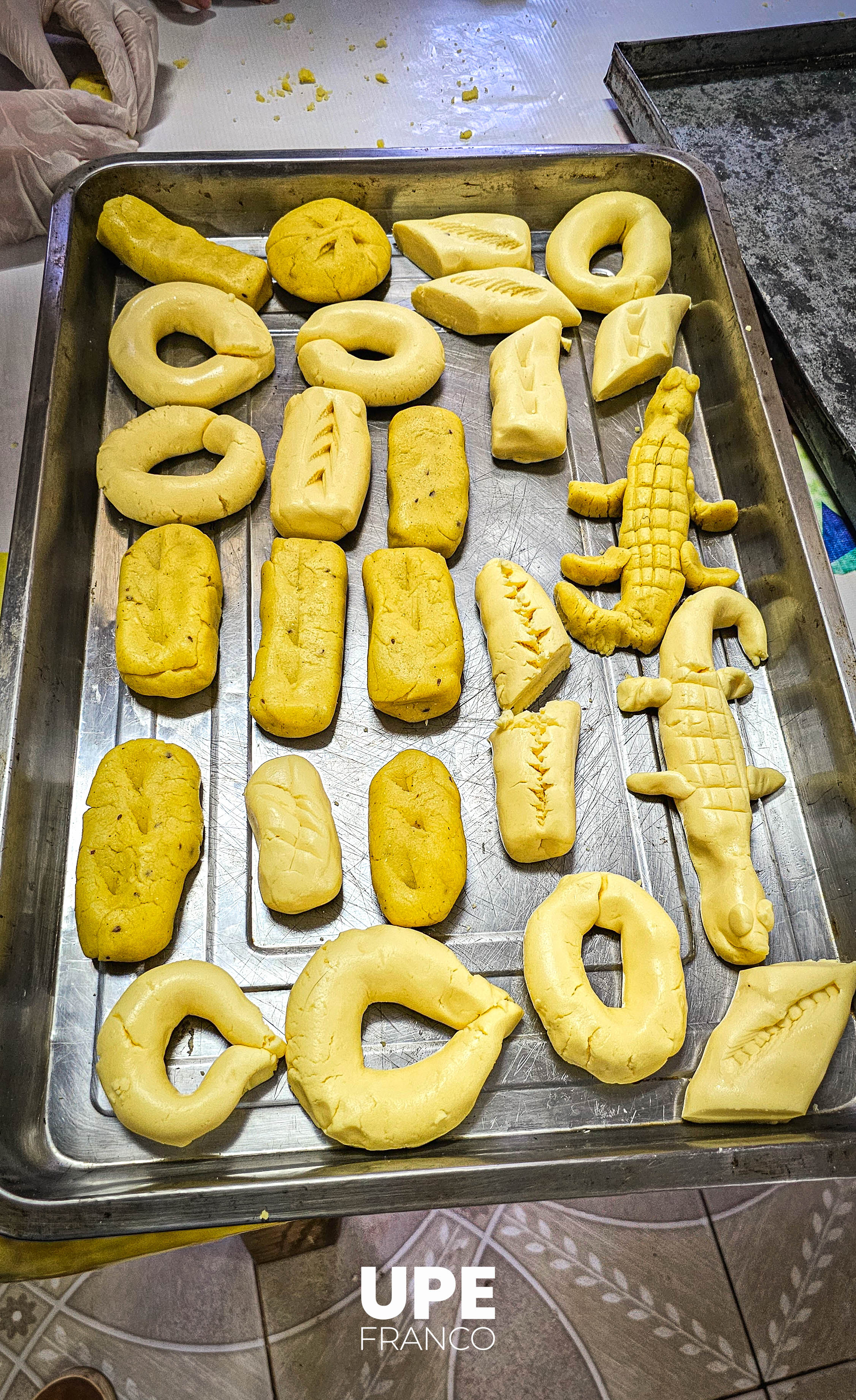 Chipa Apo: Carrera de Kinesiología y Fisioterapia - FCS