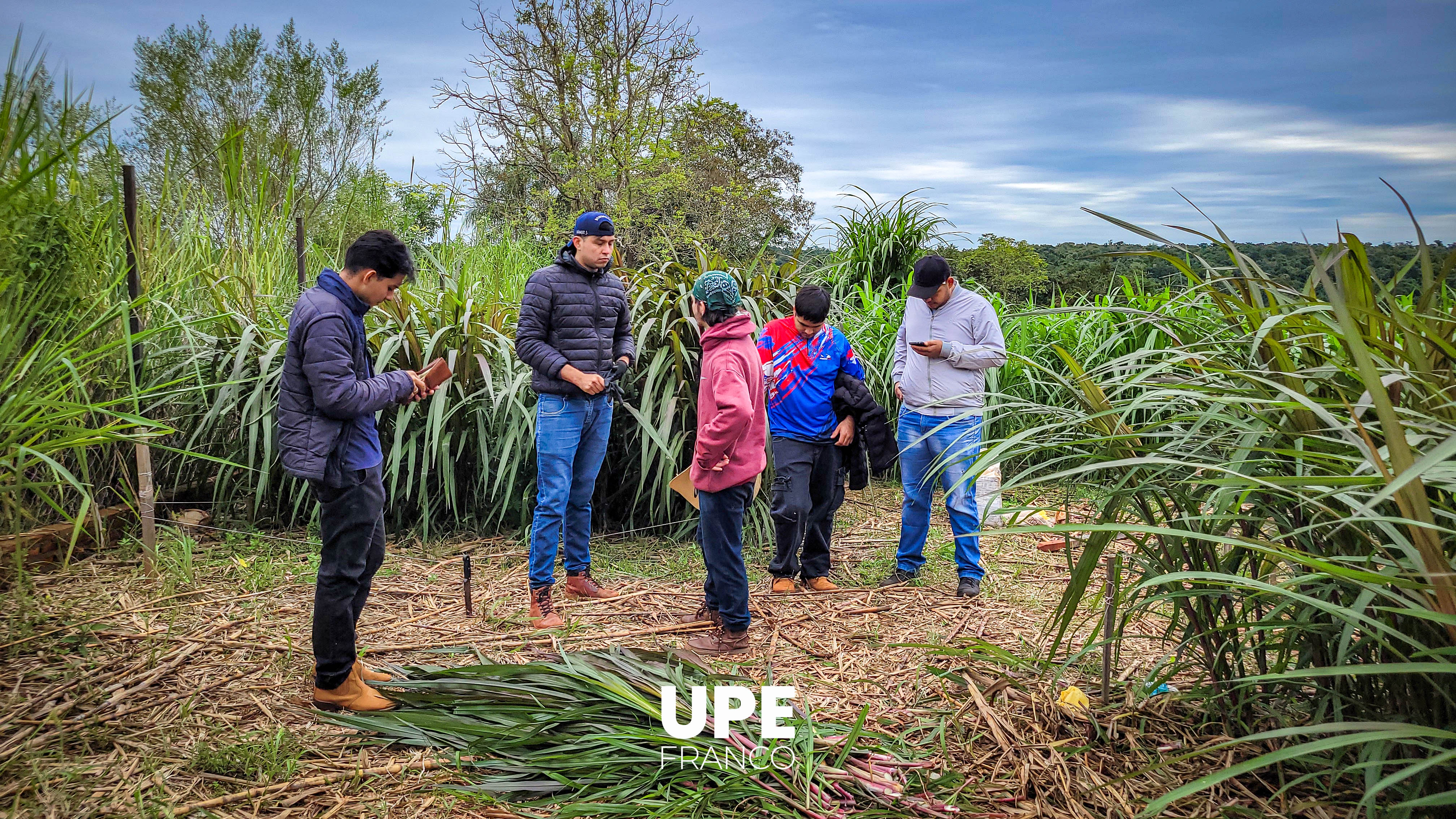 Alumnos de Agronomía desarrollan actividades prácticas en el Campo Experimental de la UPE