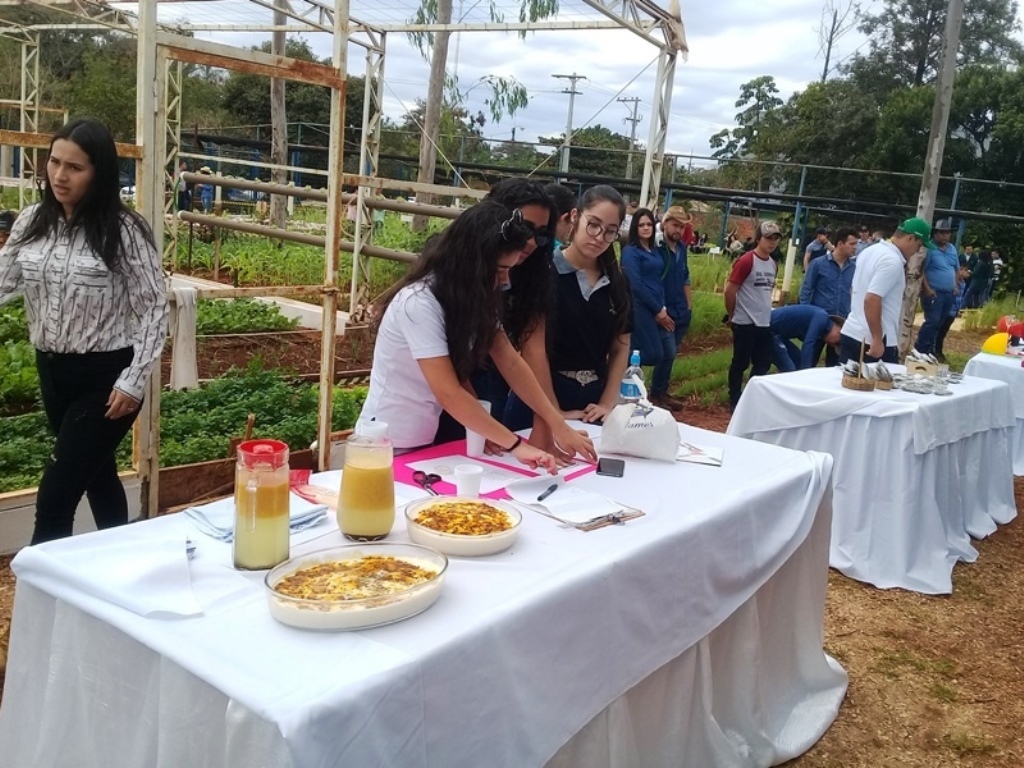 Jornada de Clausura del Semestre y exposición de trabajo del Campo de Investigación y Experimentación