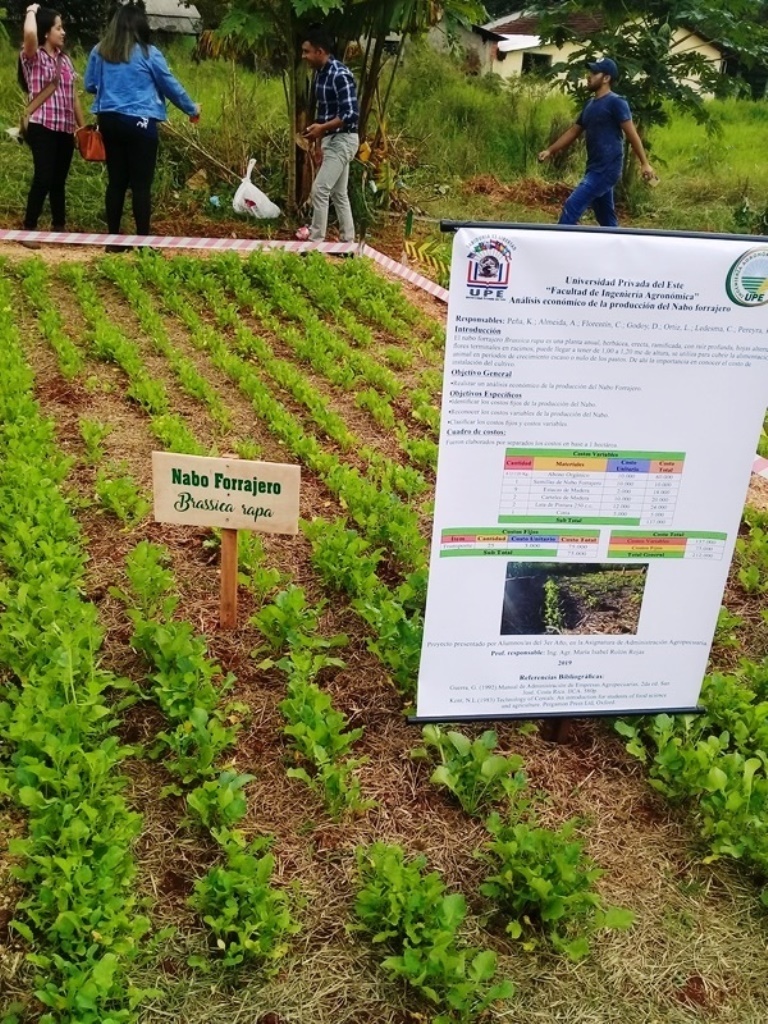 Jornada de Clausura del Semestre y exposición de trabajo del Campo de Investigación y Experimentación