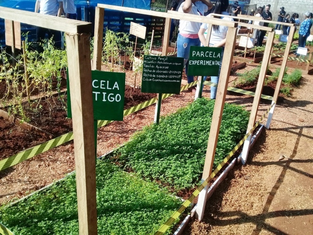 Jornada de Clausura del Semestre y exposición de trabajo del Campo de Investigación y Experimentación