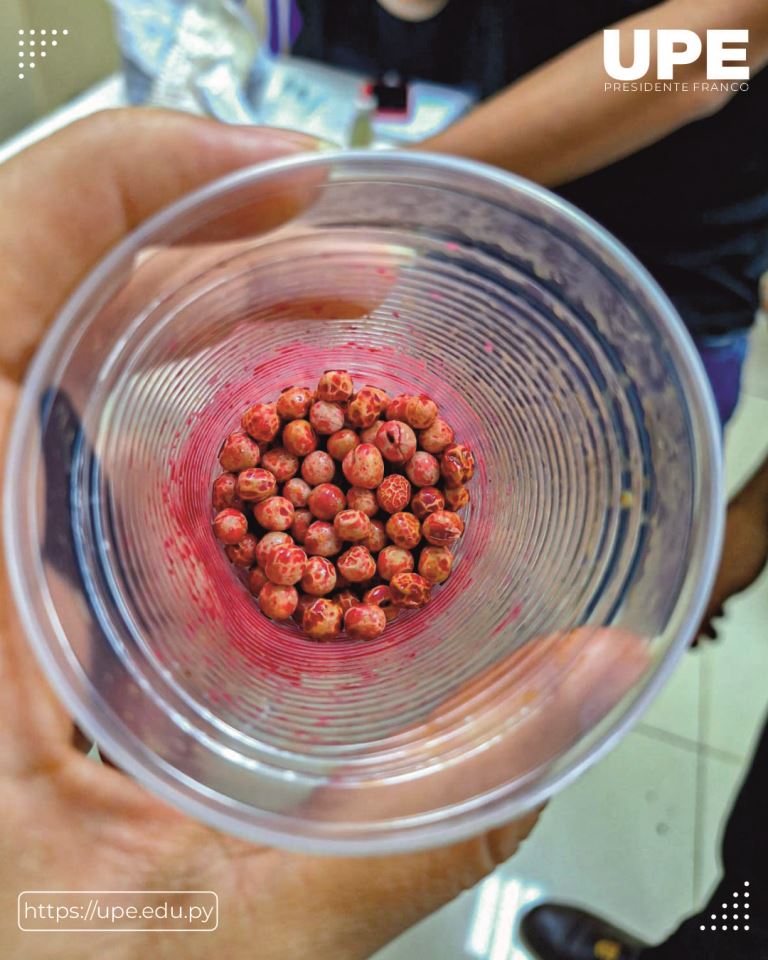 Práctica de Laboratorio en la Facultad de Ciencias Agropecuarias 