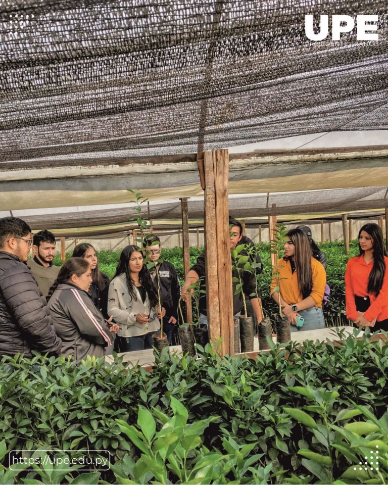 Formación Práctica en Ingeniería Agronómica: Visita Técnica a Itapuá