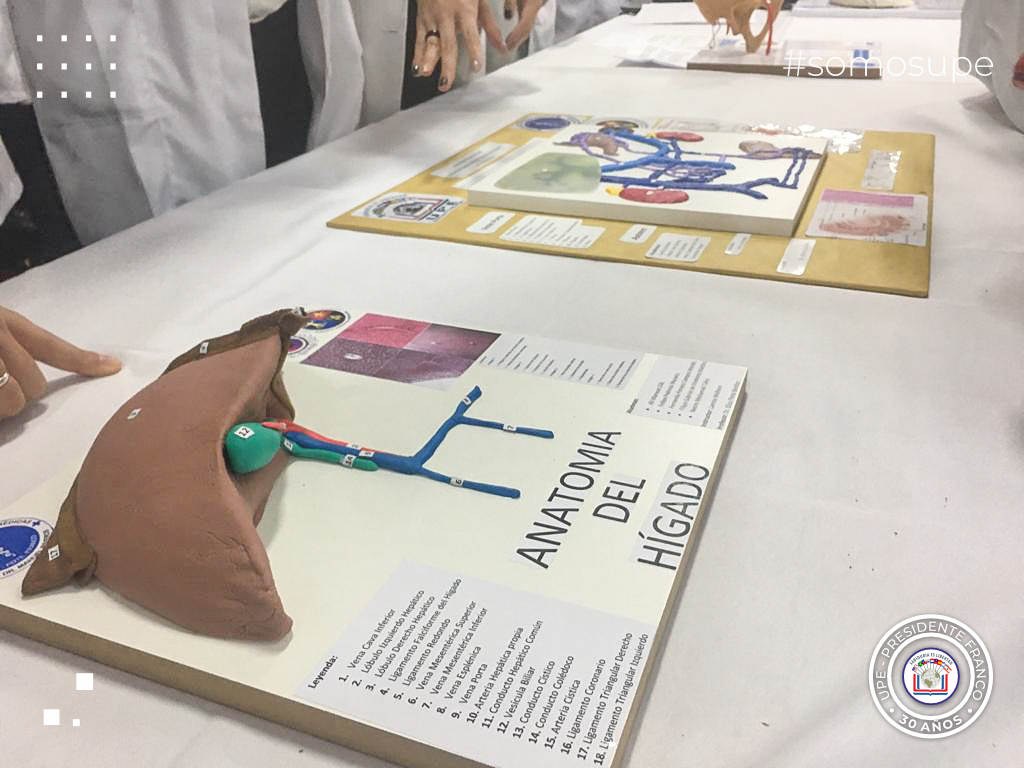 Jornada de Morfofisiología Evaluación de Maquetas, Primera Edición