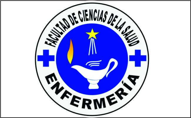 Webinar Informativo: Inserción laboral para profesionales de Enfermería en Alemania y Austria - CARENAPI