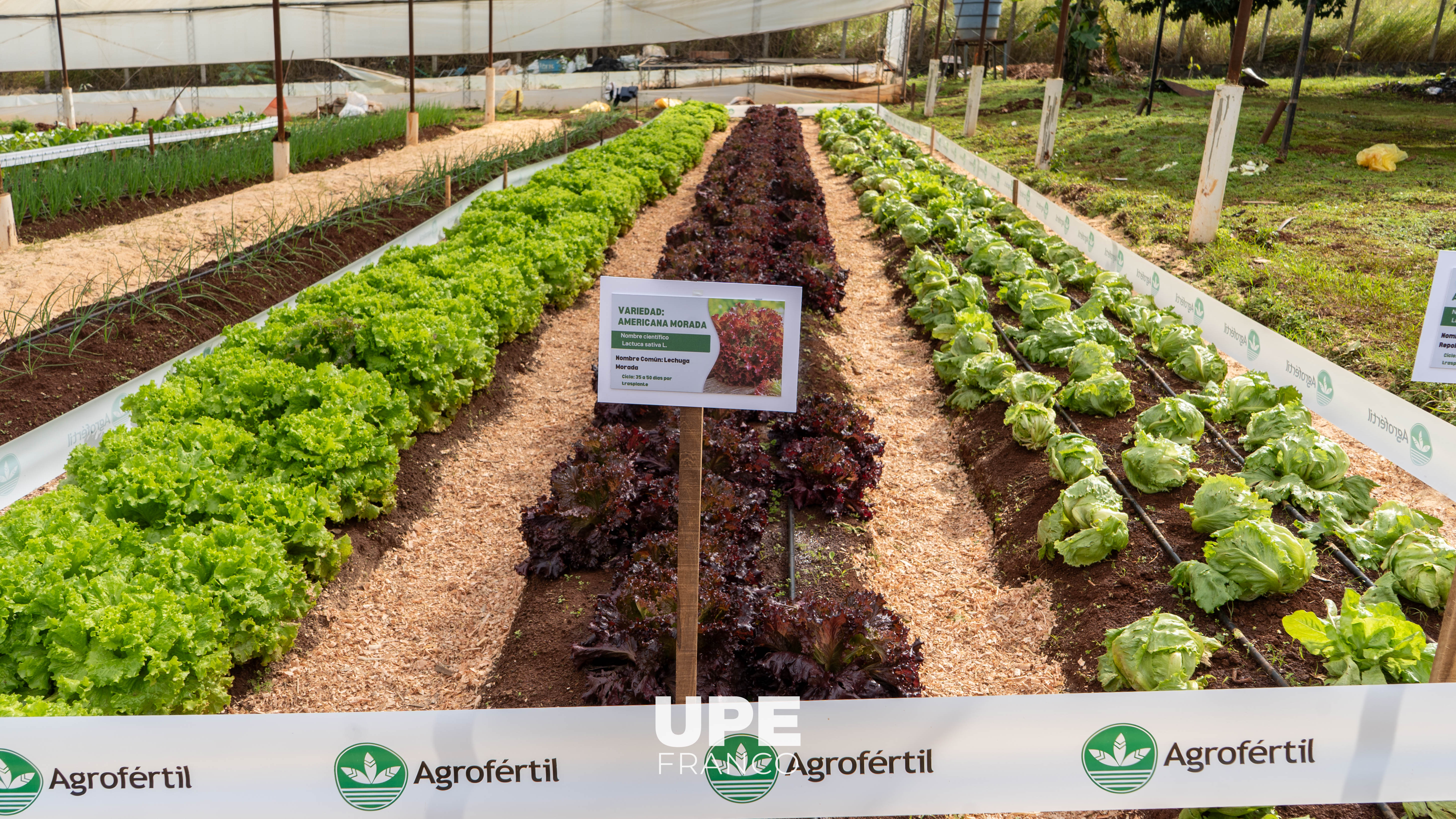 Facultad de Ciencias Agropecuarias realizó cierre de actividades de campo del primer semestre