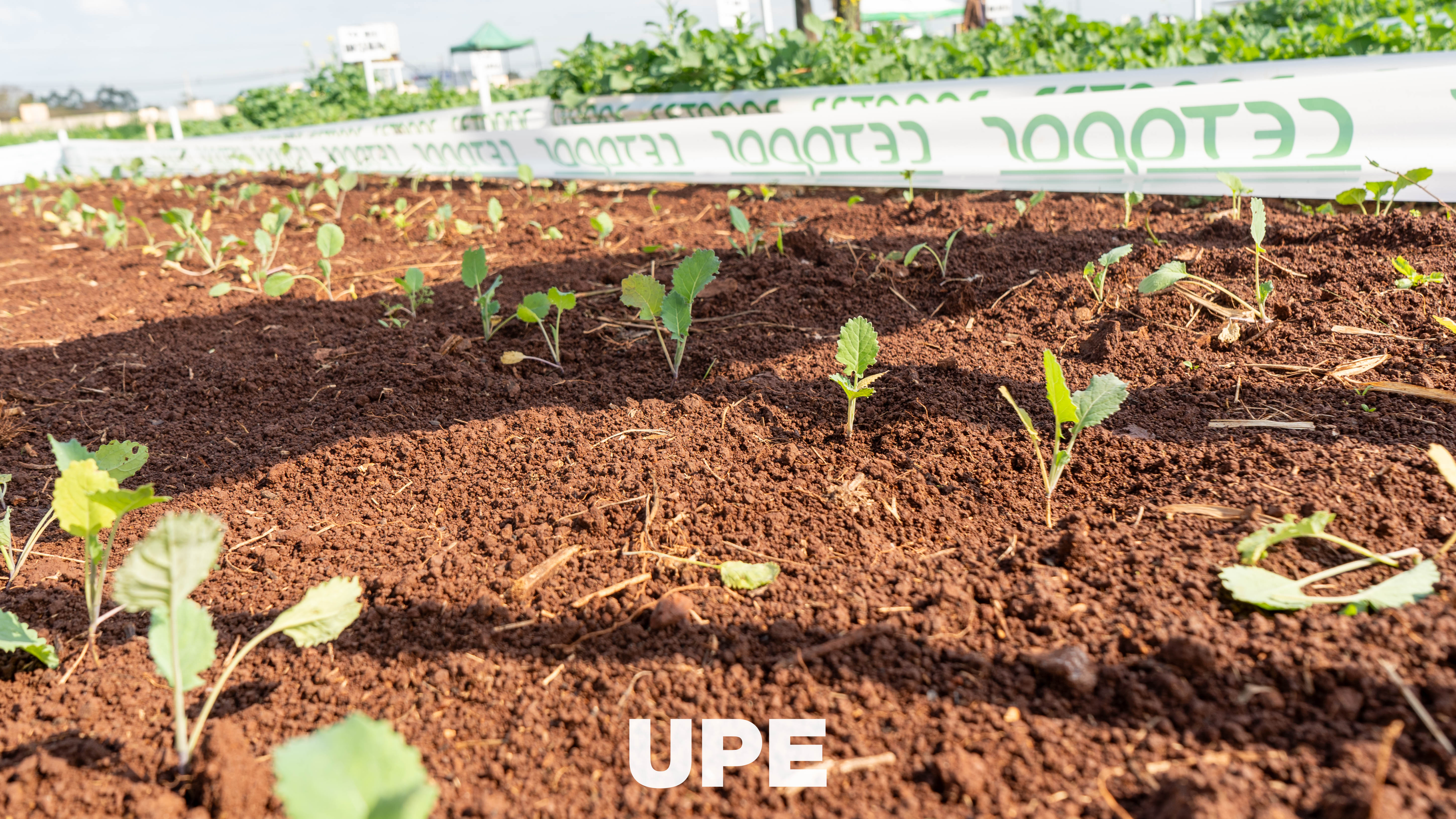 Día de Campo 2026 – Ingeniería Agronómica | UPE Minga Guazú